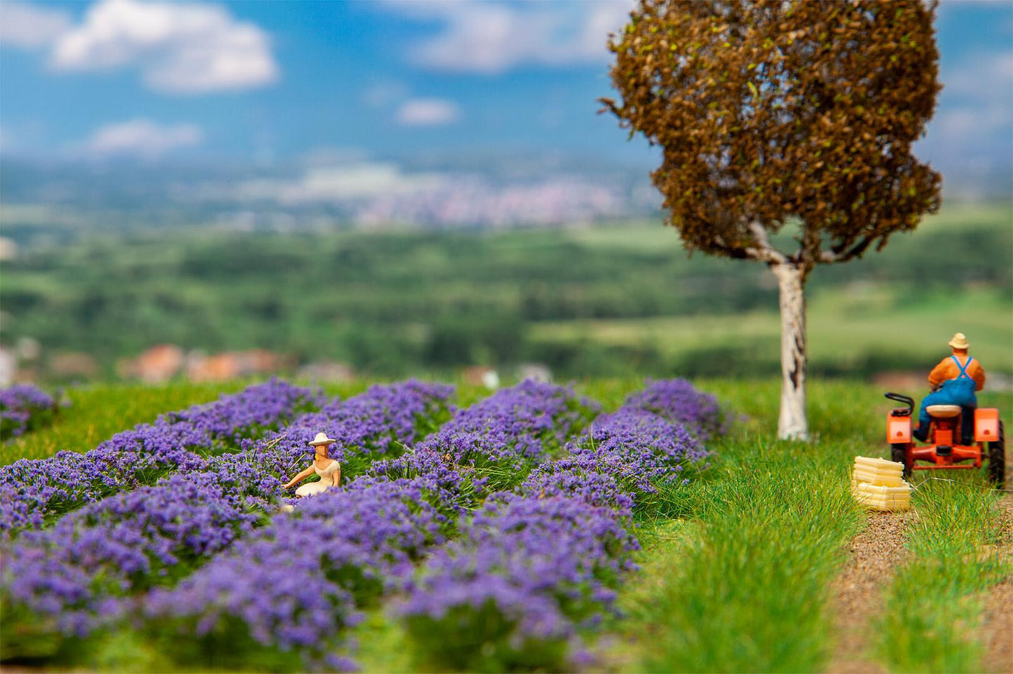181279 Lavender Field 175x125x11mm