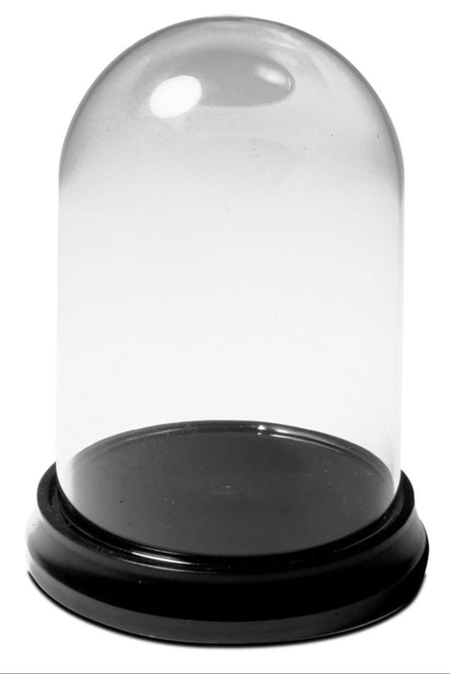3 Inch Glass Display Dome & Base