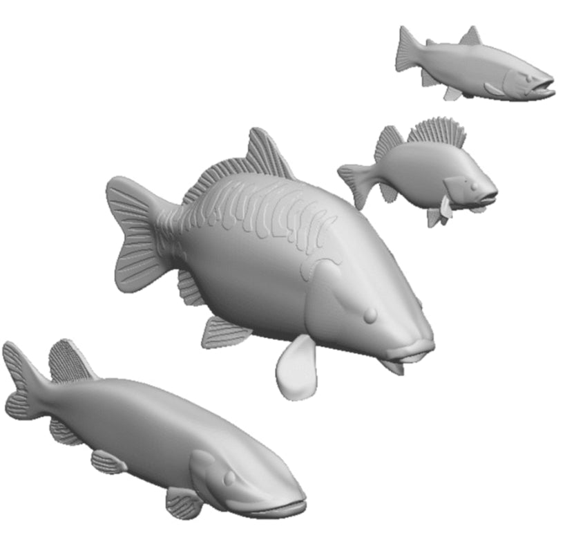 O Gauge - Pets, Wildlife & Livestock - Fresh Water Fish (3x Each)