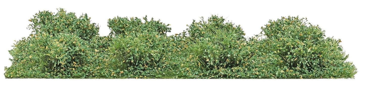 BUS3603 8 Micro-Bushes, Late Summer (Copy)