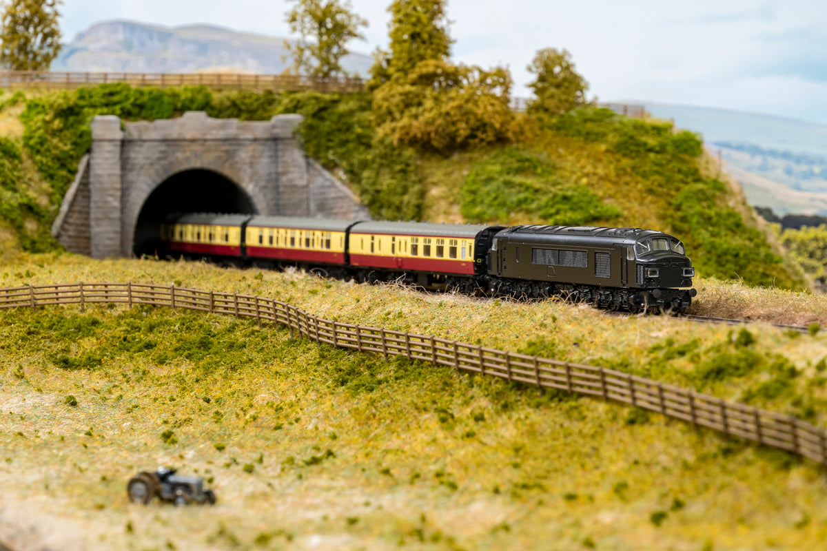 823202 Class 46 'Peak' D182 BR Green With Small Yellow Panels Diesel Locomotive