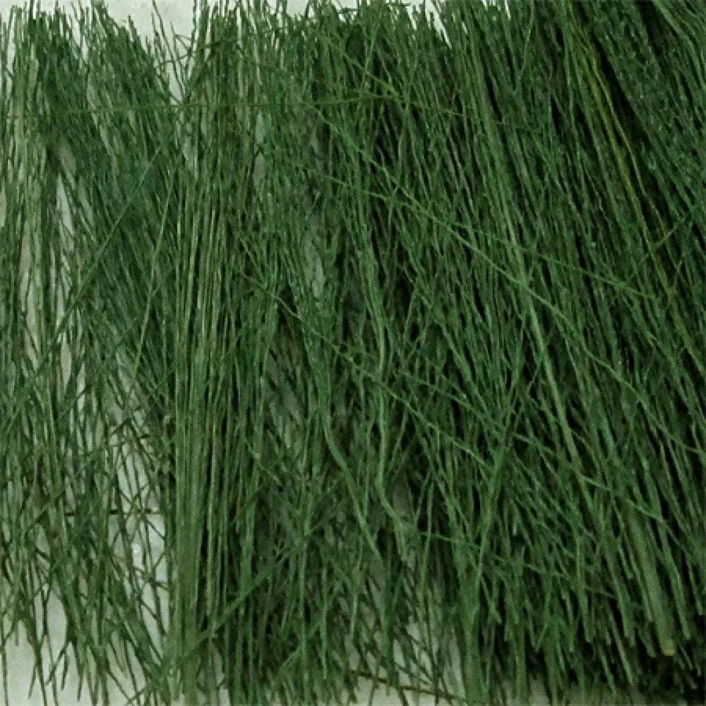 00894 Field Grass Dark Green (15g)