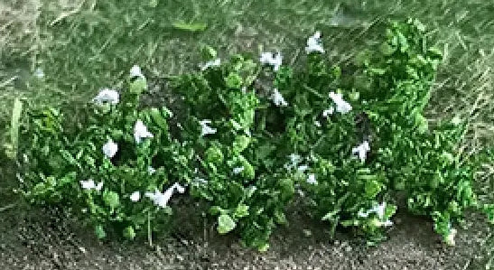 TAS074340 Railway Scenery N-gauge 01038 Potato Plants (18)