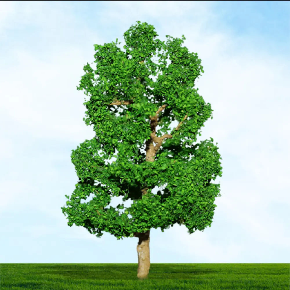 004016 Premium Trees 00 Gauge Sycamore 75/100mm (2/pk)