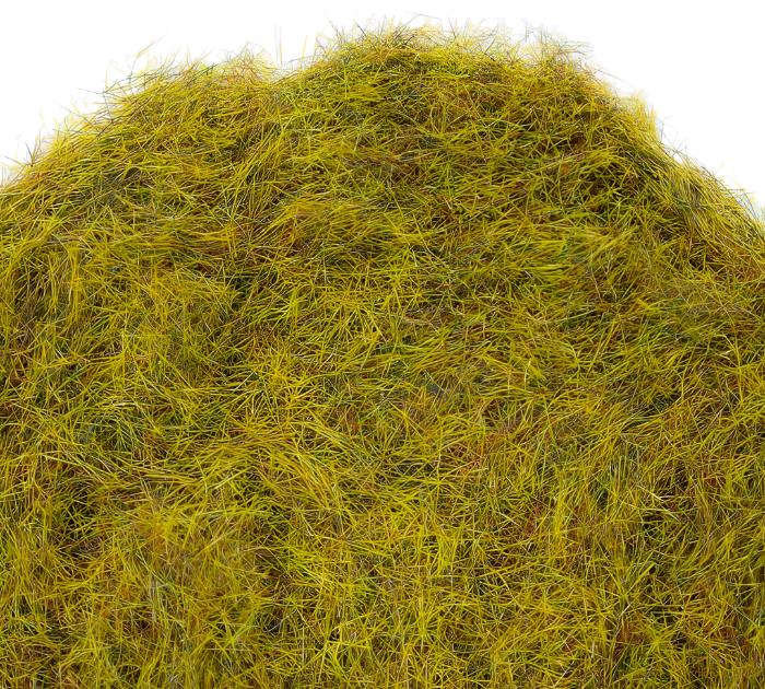 WWS 4mm Wild Meadow Static Grass - 500ml Canister