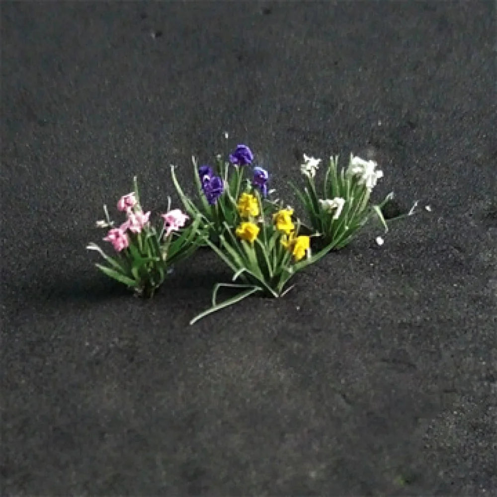 00903 - Water Iris (16/pack)