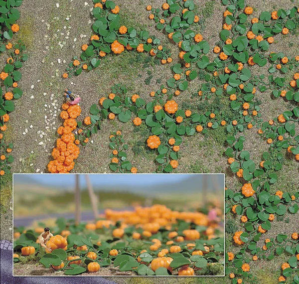 BUS1201 Pumpkin Field