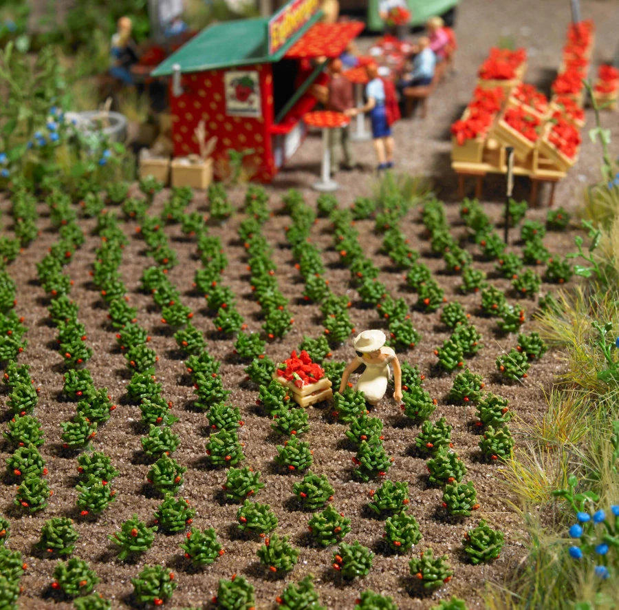 BUS1265 40 Strawberry Plants