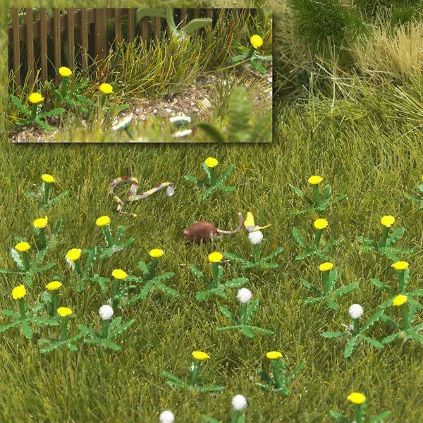 BUS1220 Dandelions