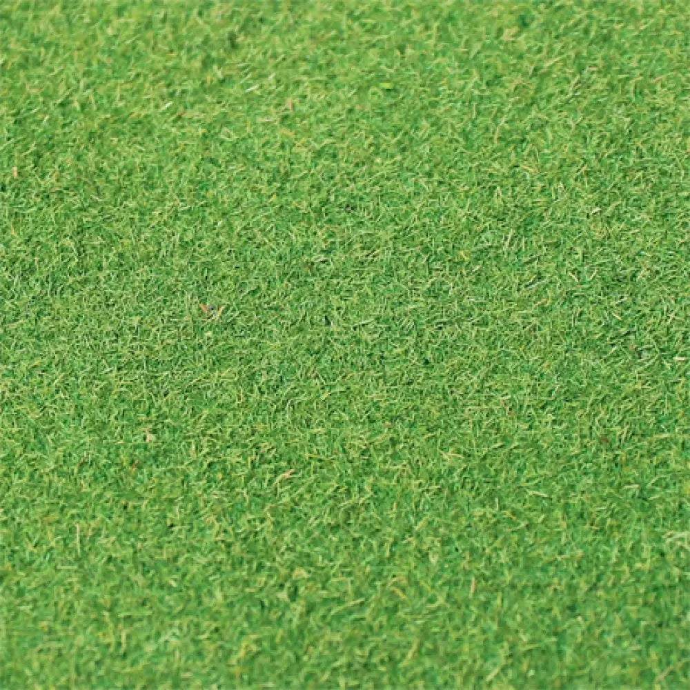 Tasma Grass Mats 00968 Light Green (85cm x 125cm)