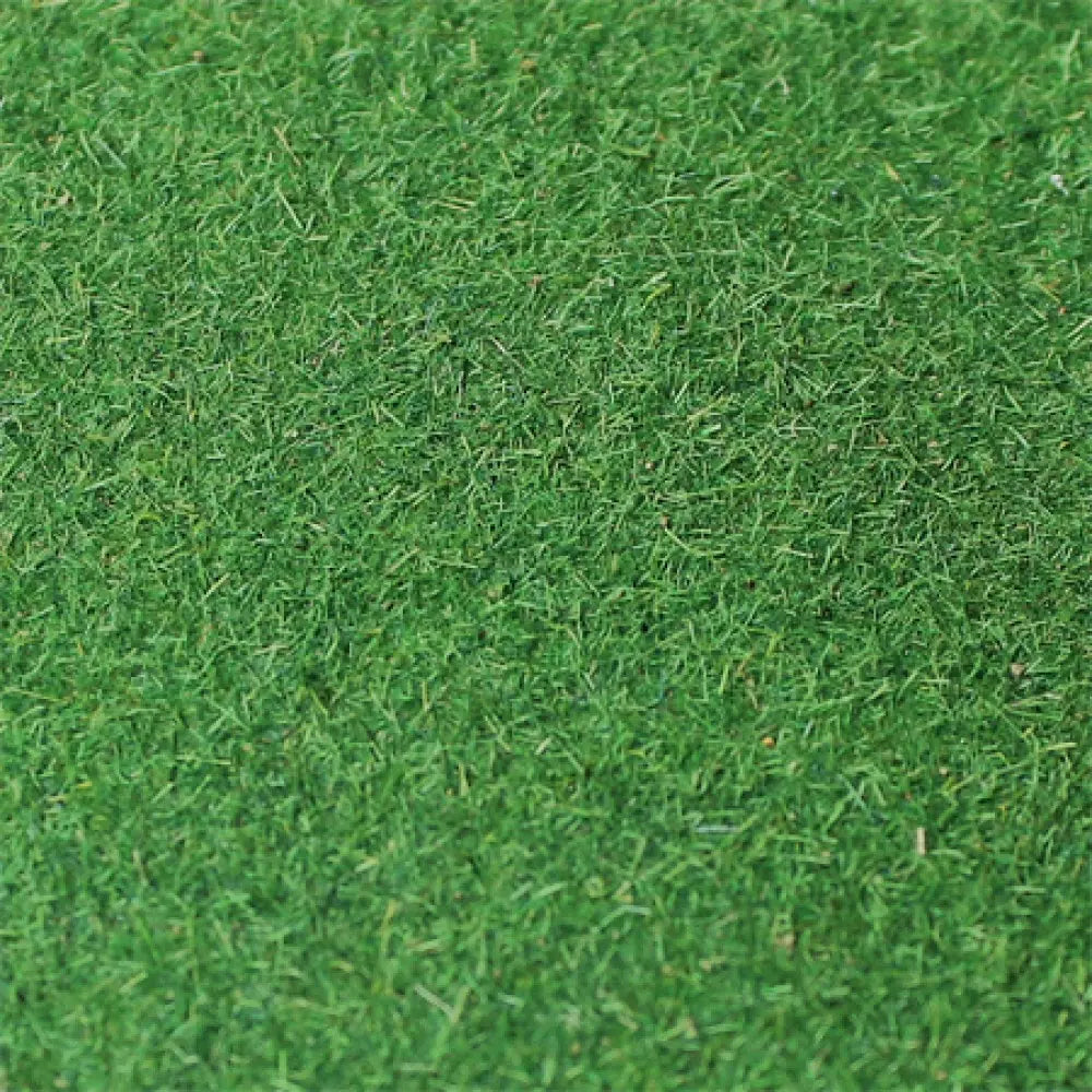 Tasma Grass Mats 00969 Medium Green (85cm x 125cm)