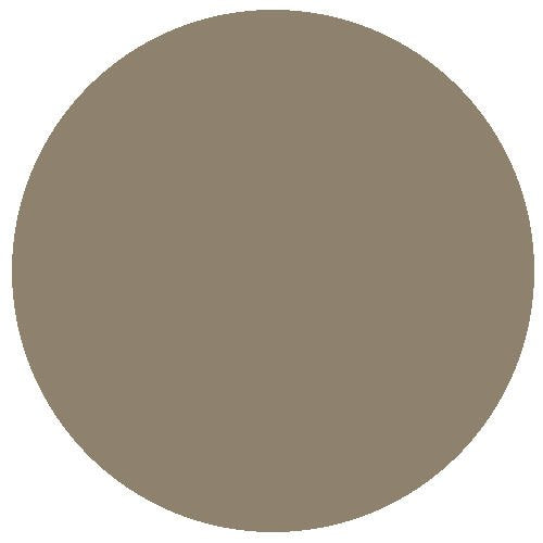 Railfreight Grey (acrylic) (18ml)