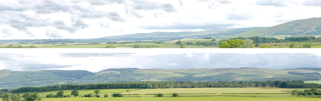 Harvest Hills 2 X 5' X 15" Premium OO/HO Gauge Backscene - Foto 10