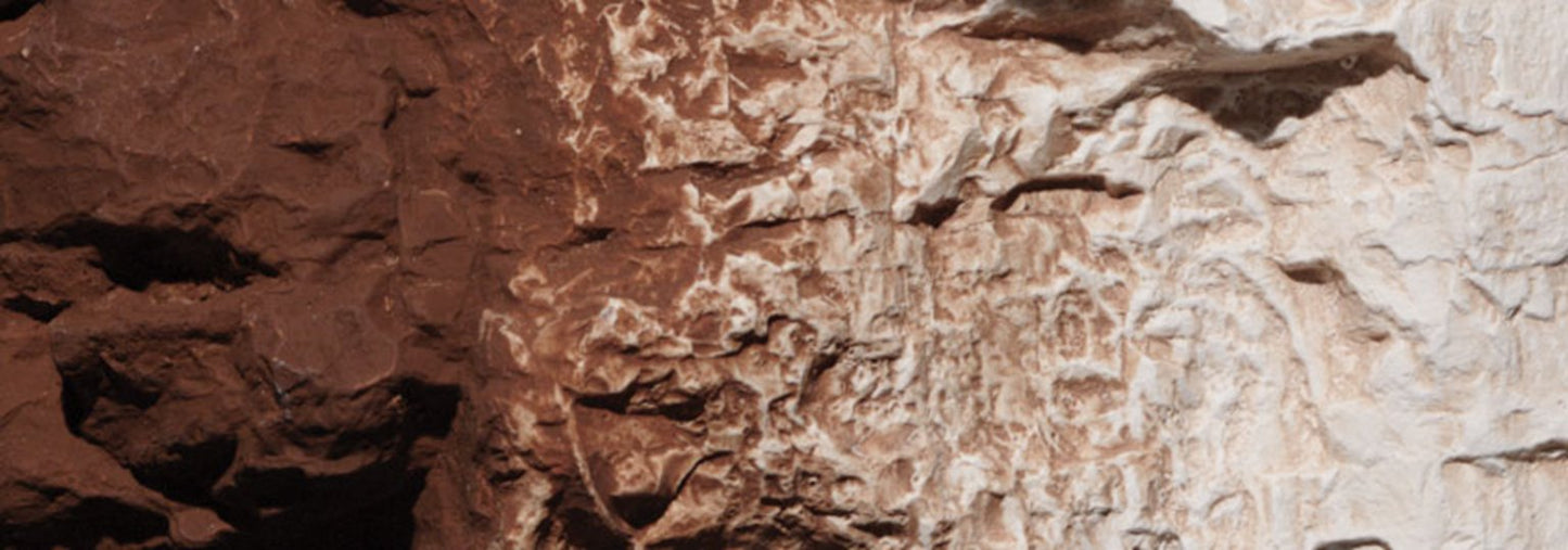 C1222 Burnt Umber Terrain Paint 4 fl oz