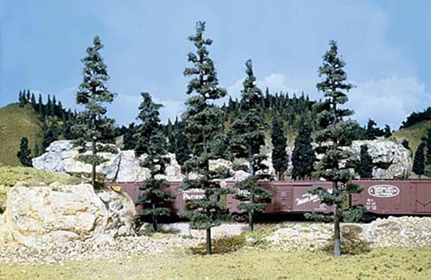 Pine Trees 6 - 9 inch (Pack of 5)