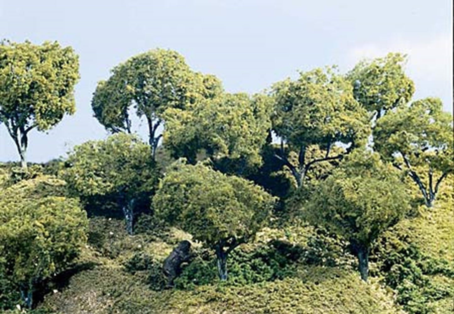 Hardwood Forest 2 - 4 inch (Pack of 24)