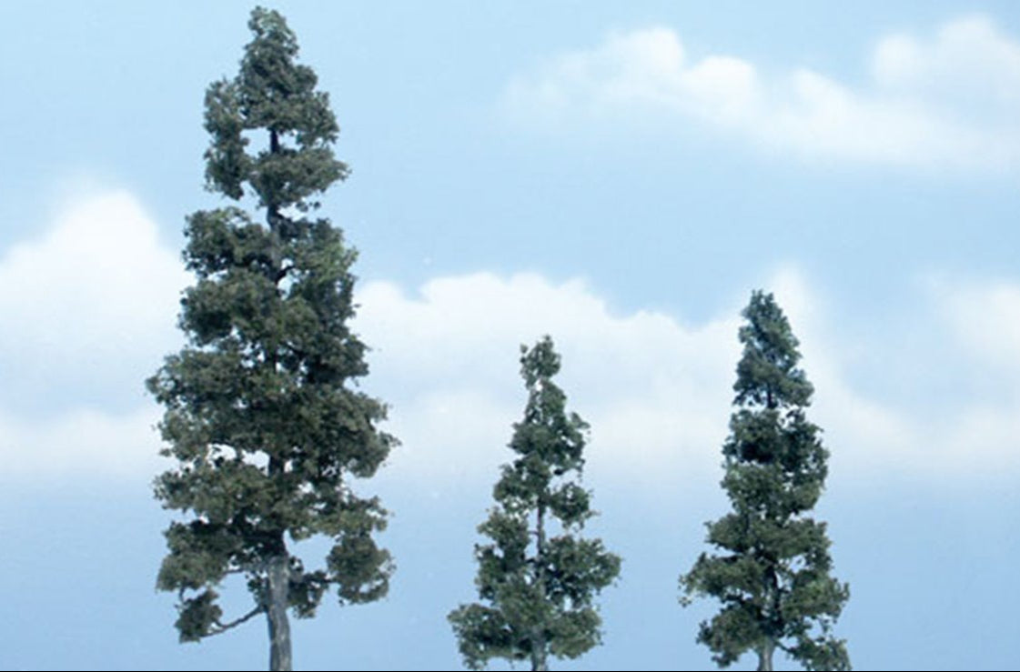 Premium Juniper Trees 2 ½ - 5 1/8 inch (Pack of 3)