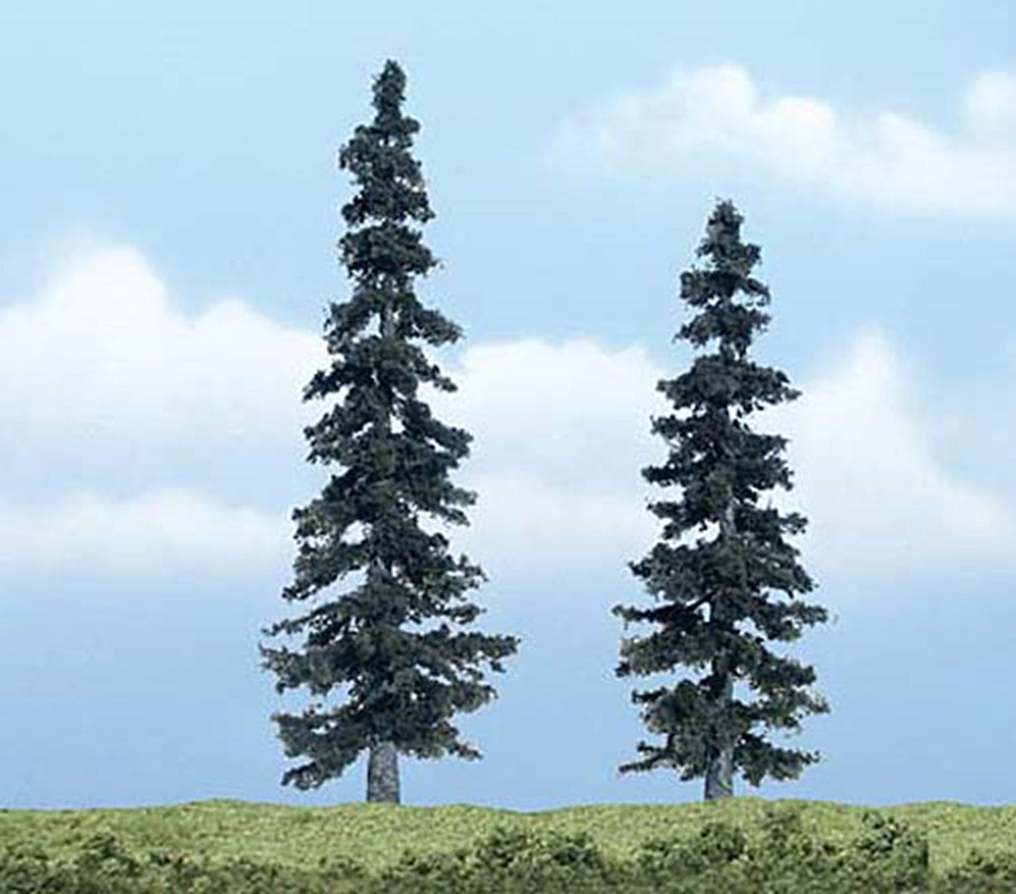 Premium Spruce Trees 4 - 5 inch (Pack of 2)