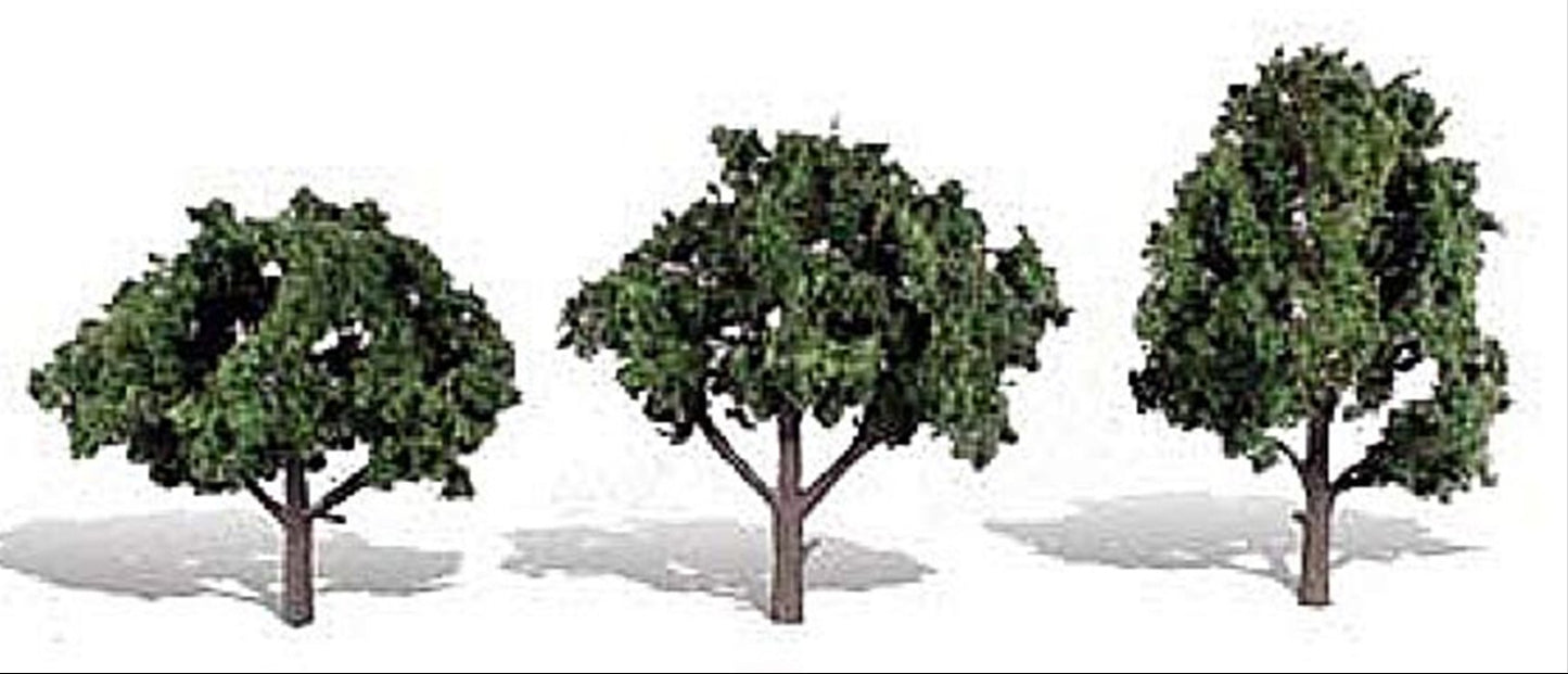 Cool Shade Trees 4 - 5 inch (Pack of 3)