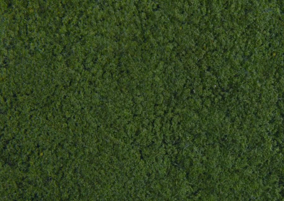 Dark Green Foliage 20 X 23cm