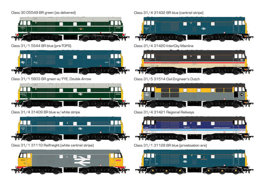 Accurascale Class 31 in OO
