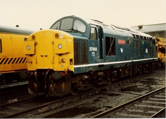 O Gauge Gaugemaster Class 37 Announced