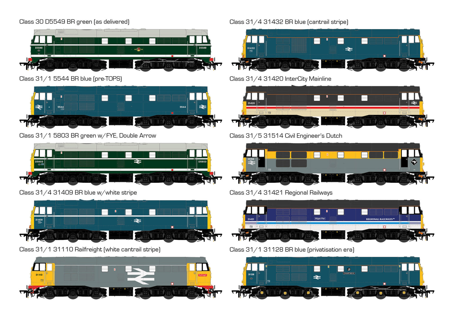 Accurascale OO Class 31