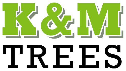 K&M