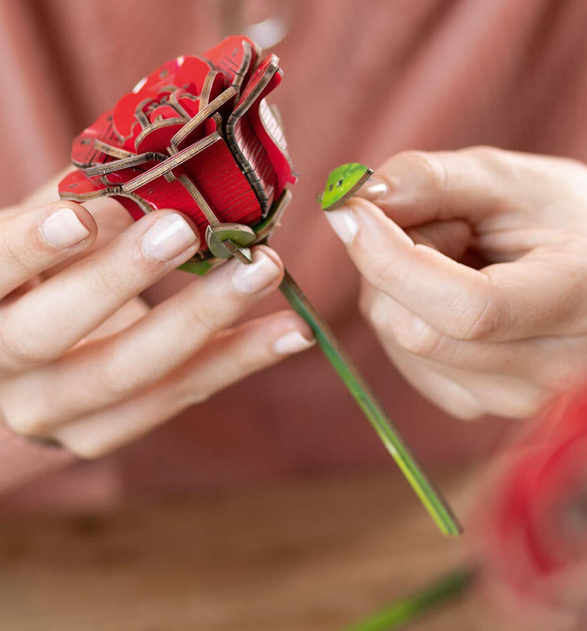 Dream of Roses Creative Wood Art Flowers Model Kit