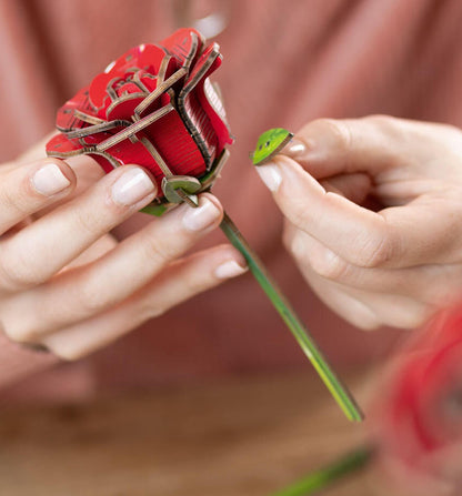 Dream of Roses Creative Wood Art Flowers Model Kit