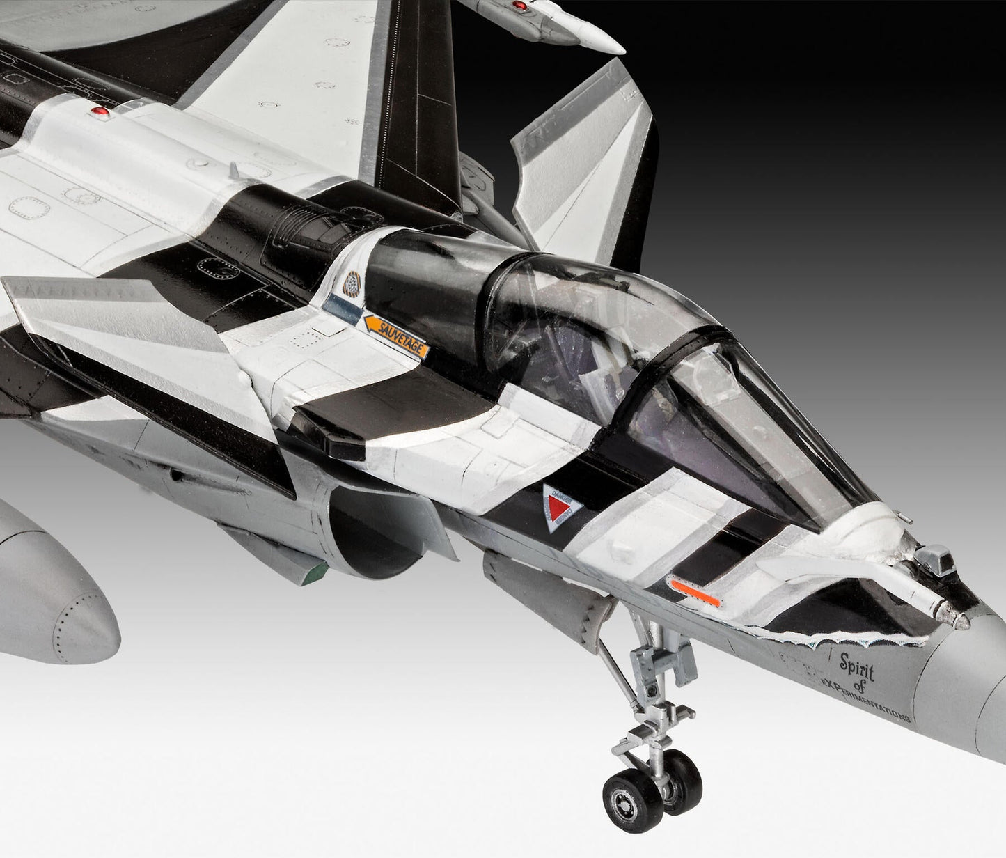 Dassault Aviation Rafale C Model Kit
