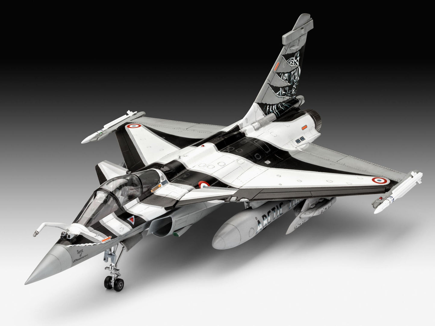 Dassault Aviation Rafale C Model Kit