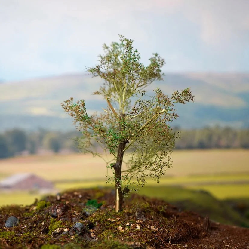 WWS Seafoam Trees Box - Mixed Sizes