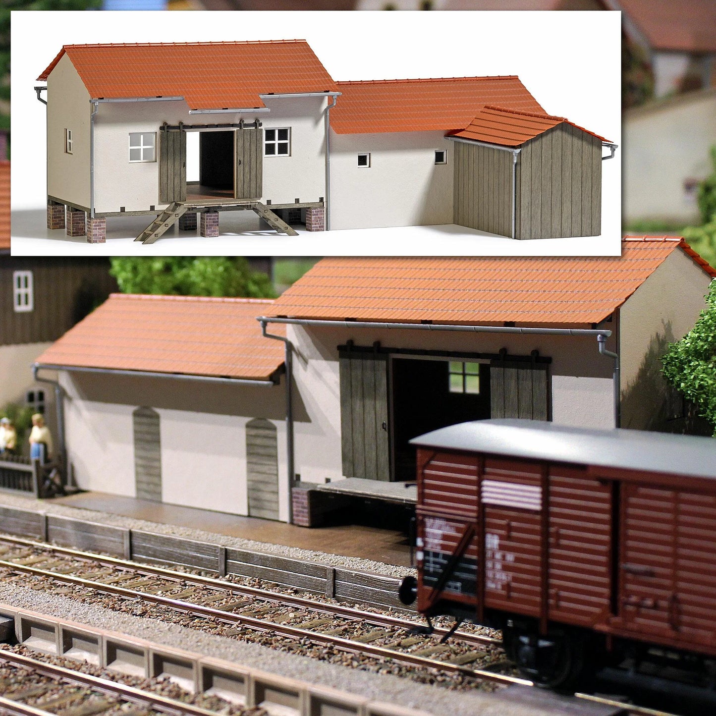 BUS10051 Freight Shed