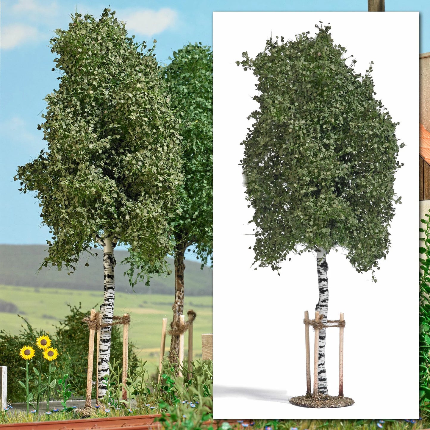 BUS10625 Young birch with stakes 170 mm tall