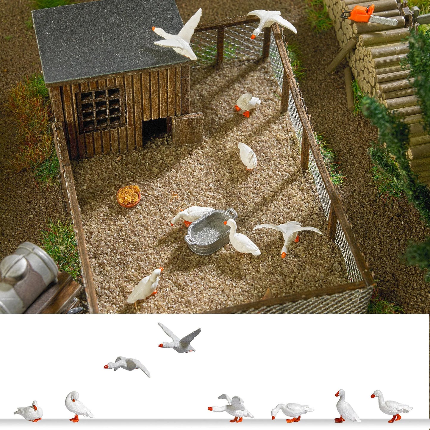 BUS1195 HO 8 Domestic Geese