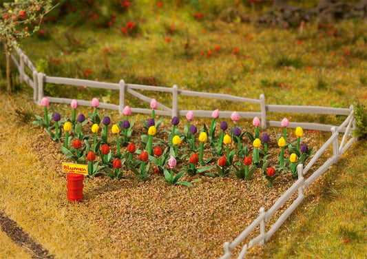 181262 Tulips (36)