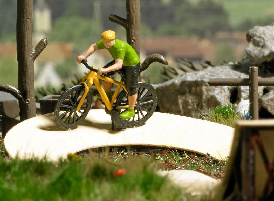 BUS1838 Mountain biker