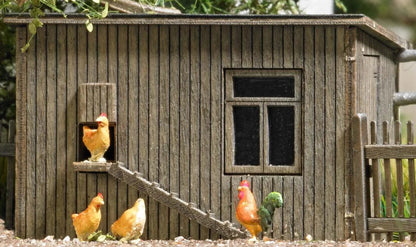 BUS1844 Chicken coop with chickens