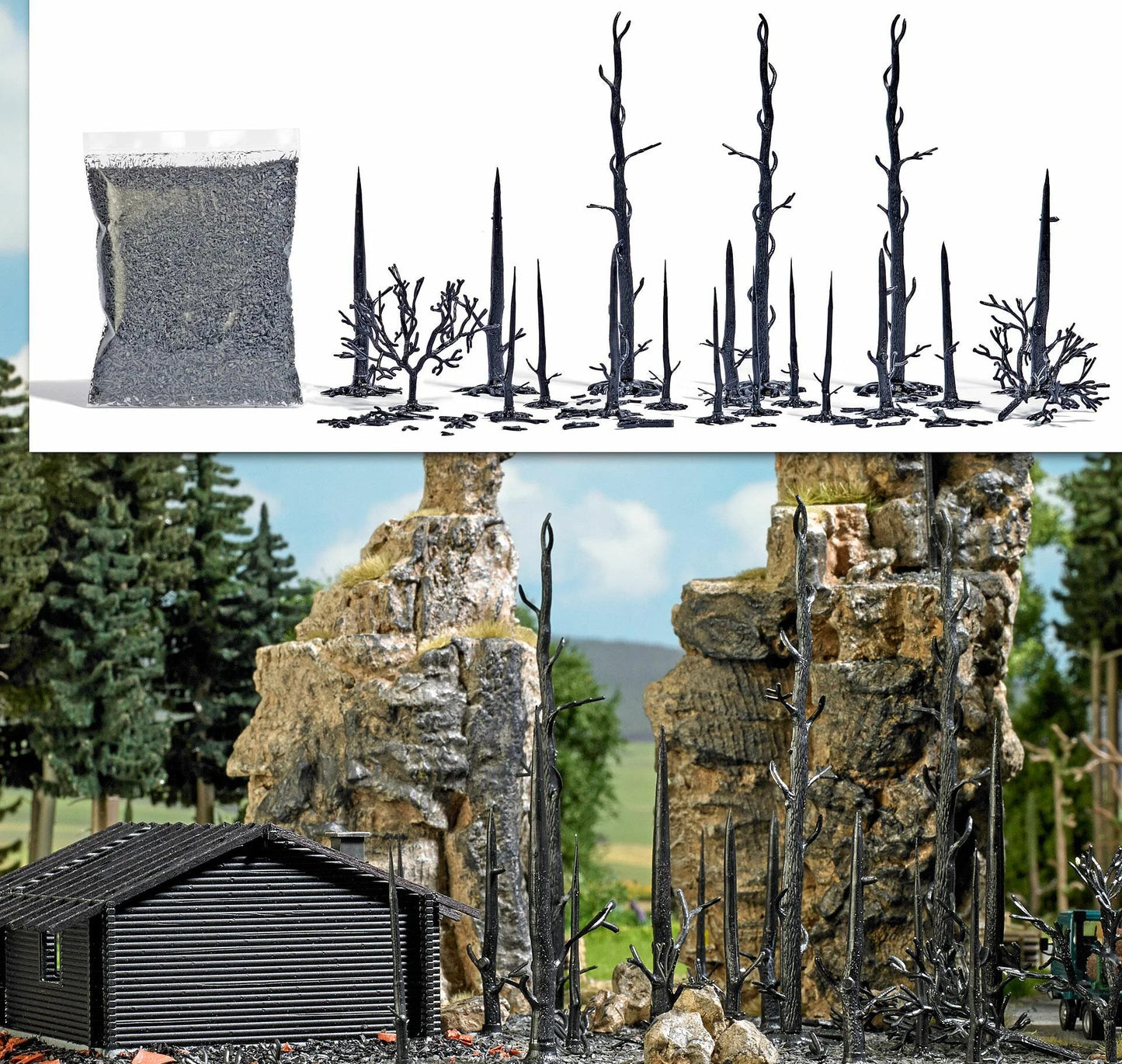 BUS1854 Burnt forest