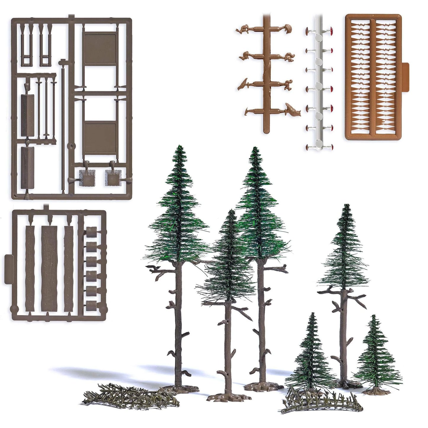 BUS1856 High forest