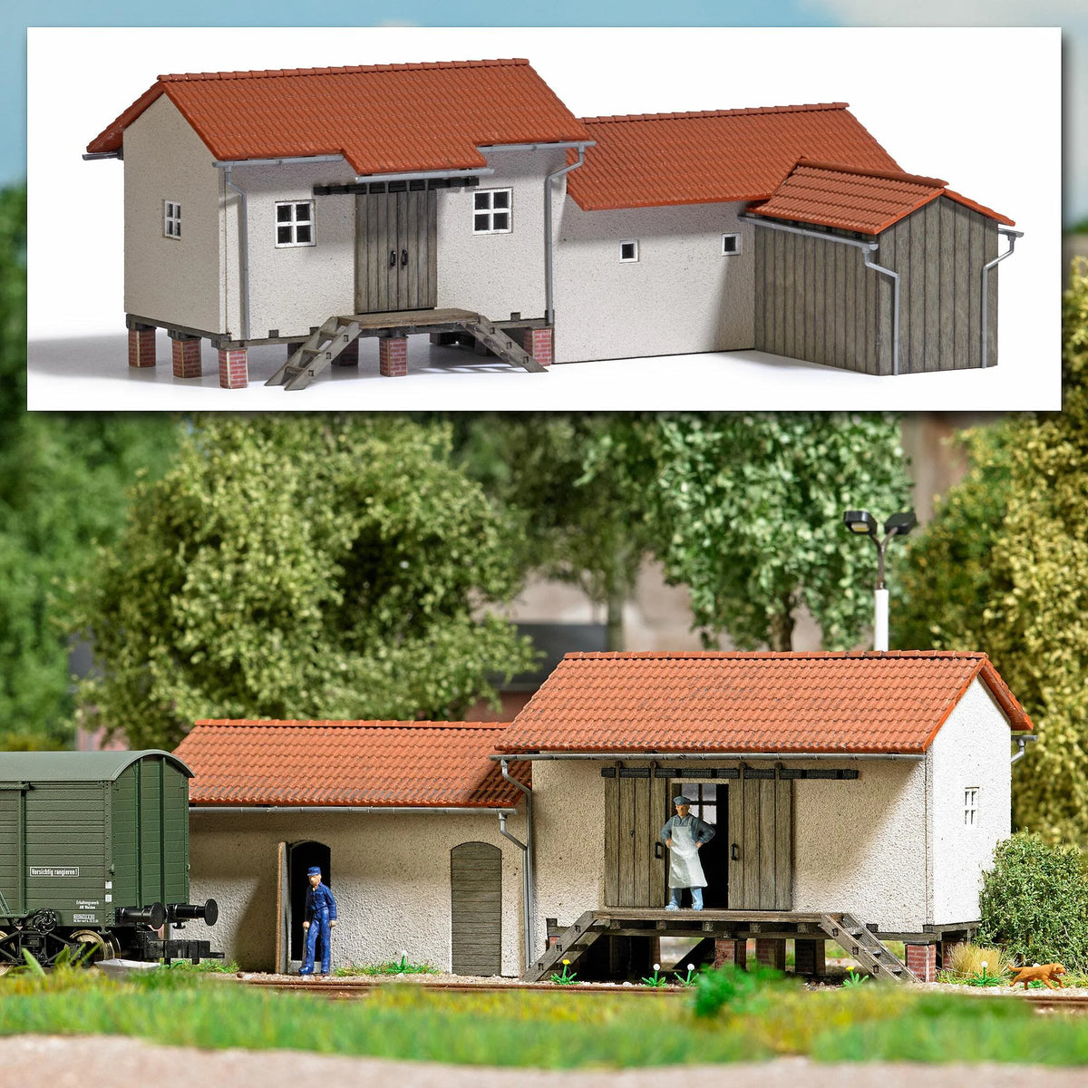 BUS1955 Freight shed