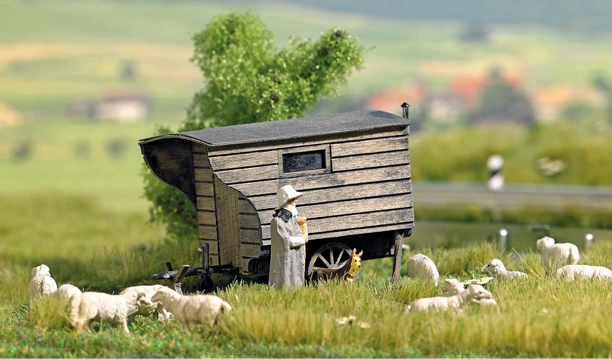 BUS1981 1 Shepherd hut