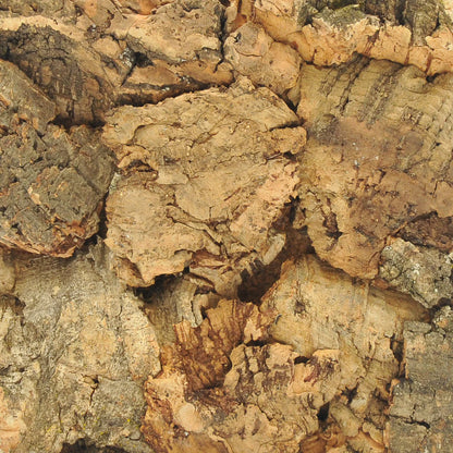 Extra Large Cork Bark - 150 mm x 150 mm - 20mm Thick