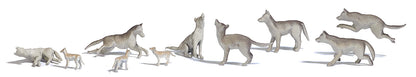 BUS1193 10 Wolves