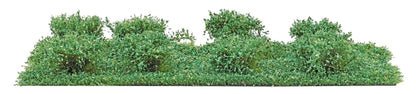 BUS3602 8 Micro-Bushes, Summer