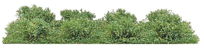 BUS3603 8 Micro-Bushes, Late Summer (Copy)