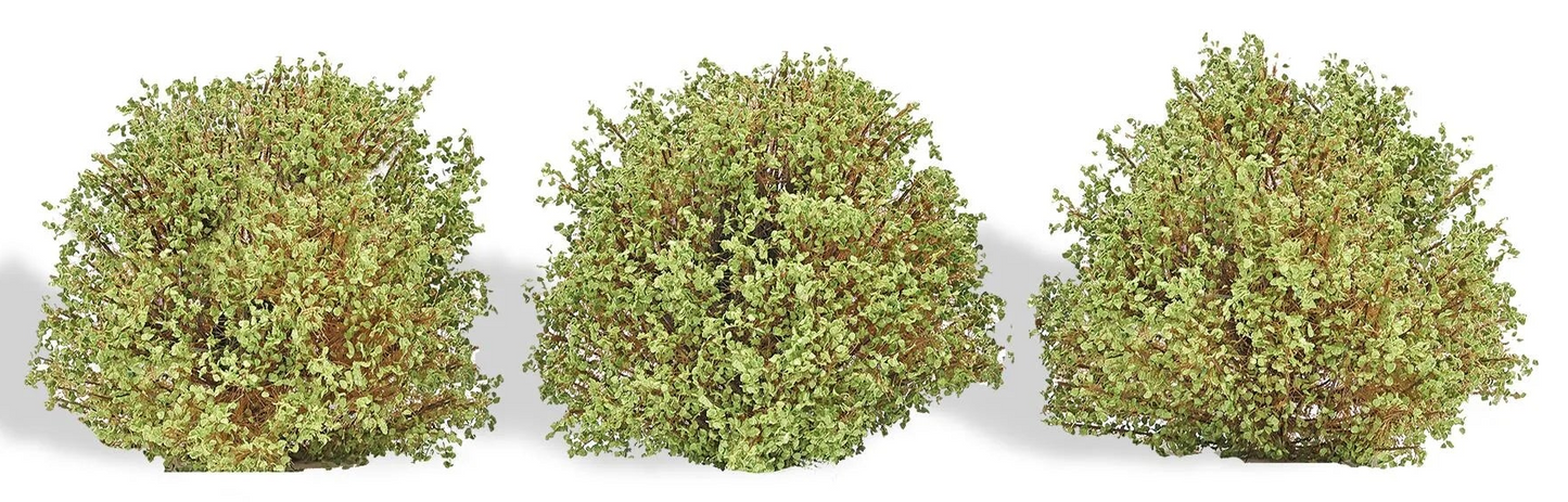 BUS3606 3 Bushes, spring