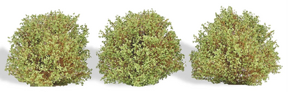 BUS3606 3 Bushes, spring
