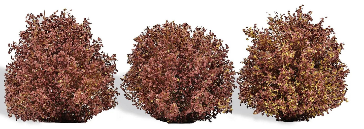 BUS3608 3 Bushes, Autumn